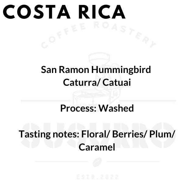 Costa Rica San Ramon Hummingbird