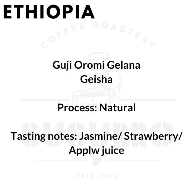 Ethiopia Guji Oromi Gelana
