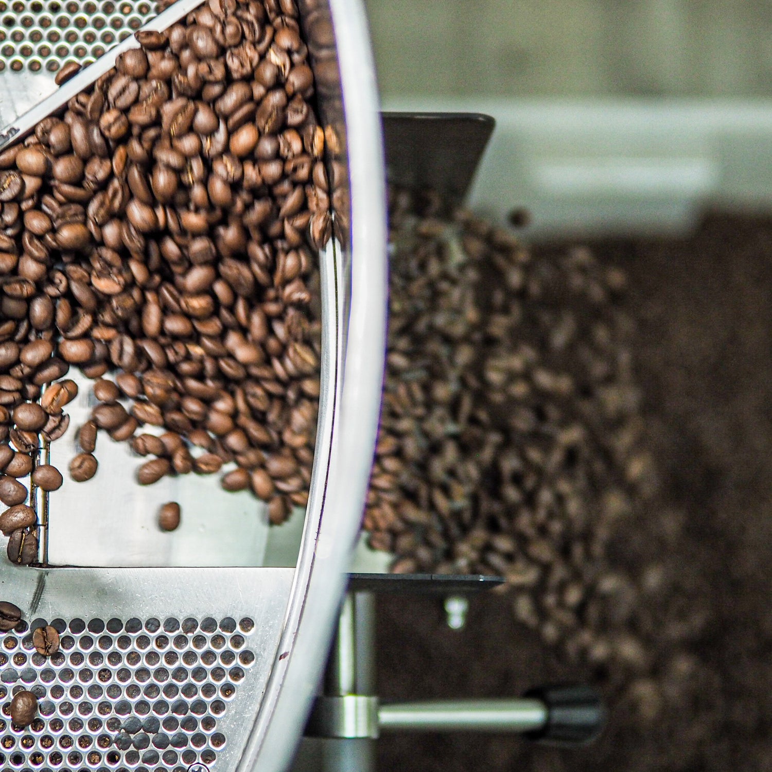 Wholesale Coffee Beans