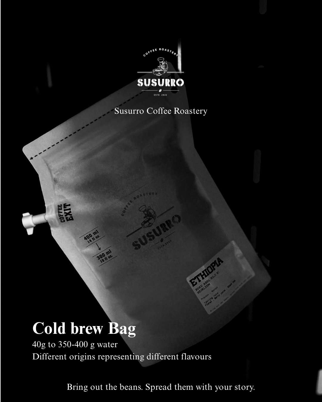 Cold brew bags