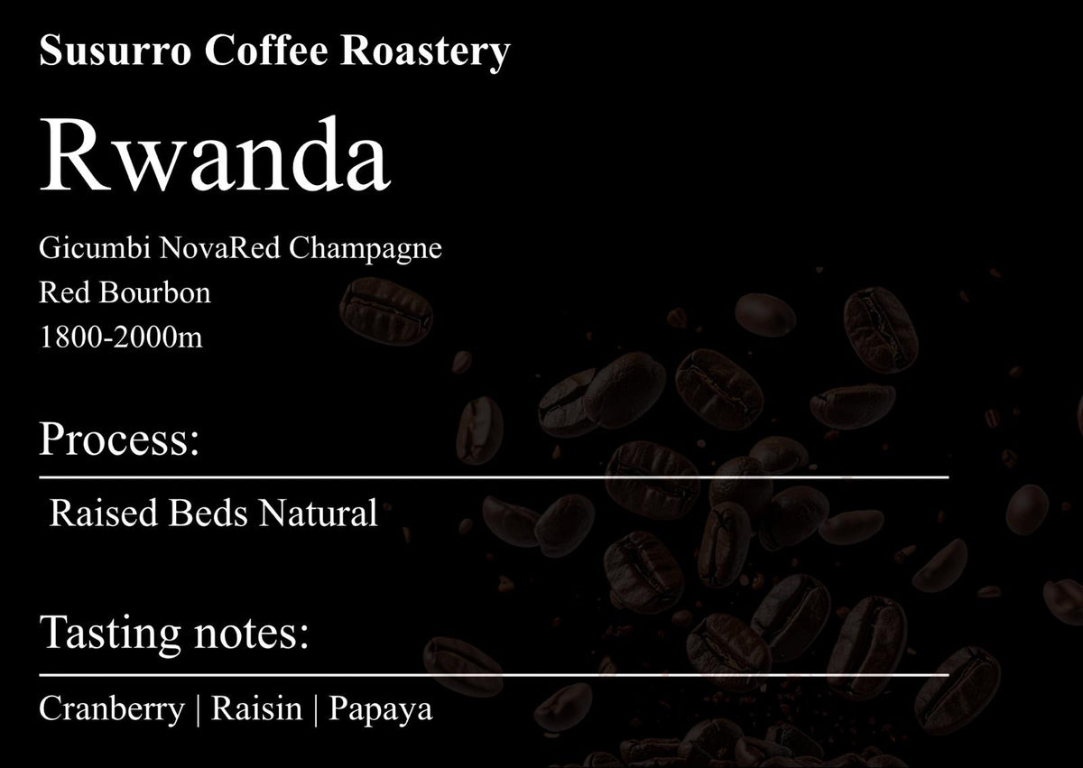 Rwanda Gicumbi NovaRed Champagne