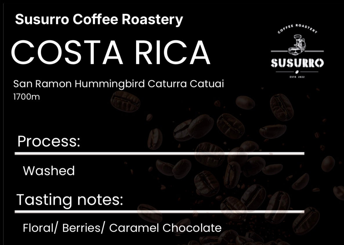 Costa Rica San Ramon Hummingbird