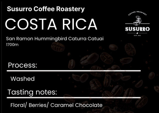 Costa Rica San Ramon Hummingbird