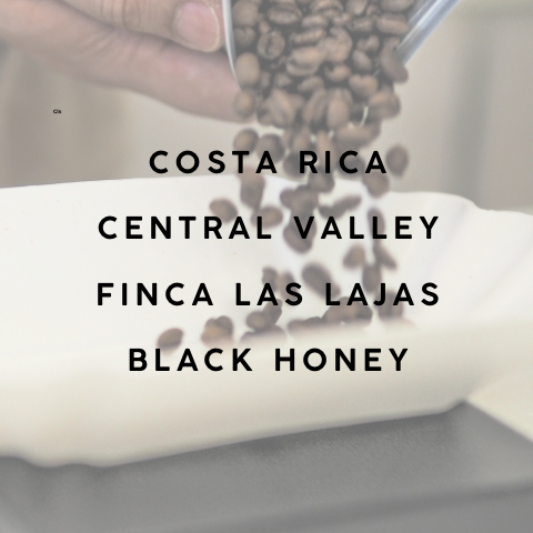 Costa Rica Central Valley Finca Las Lajas Estate Black Honey