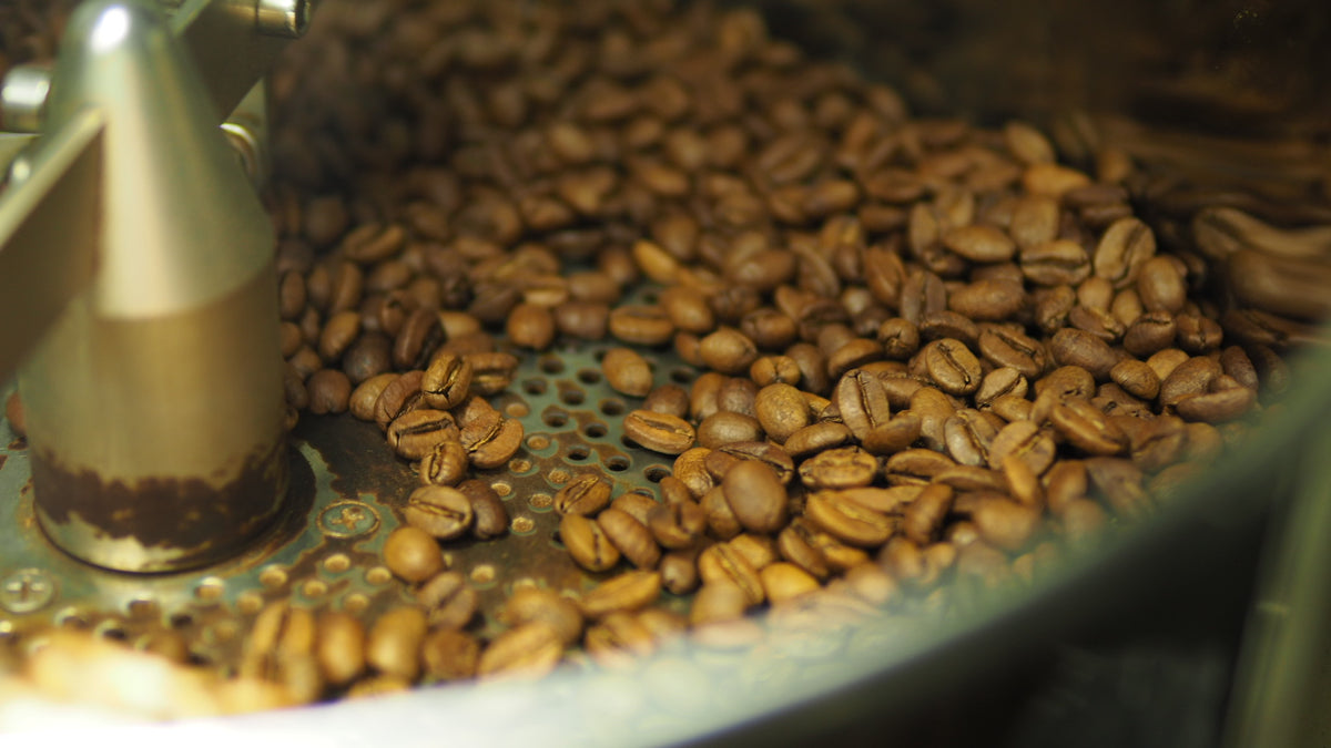 Roasting Workshop